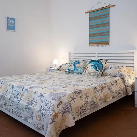 In Banani Apartment Stintino